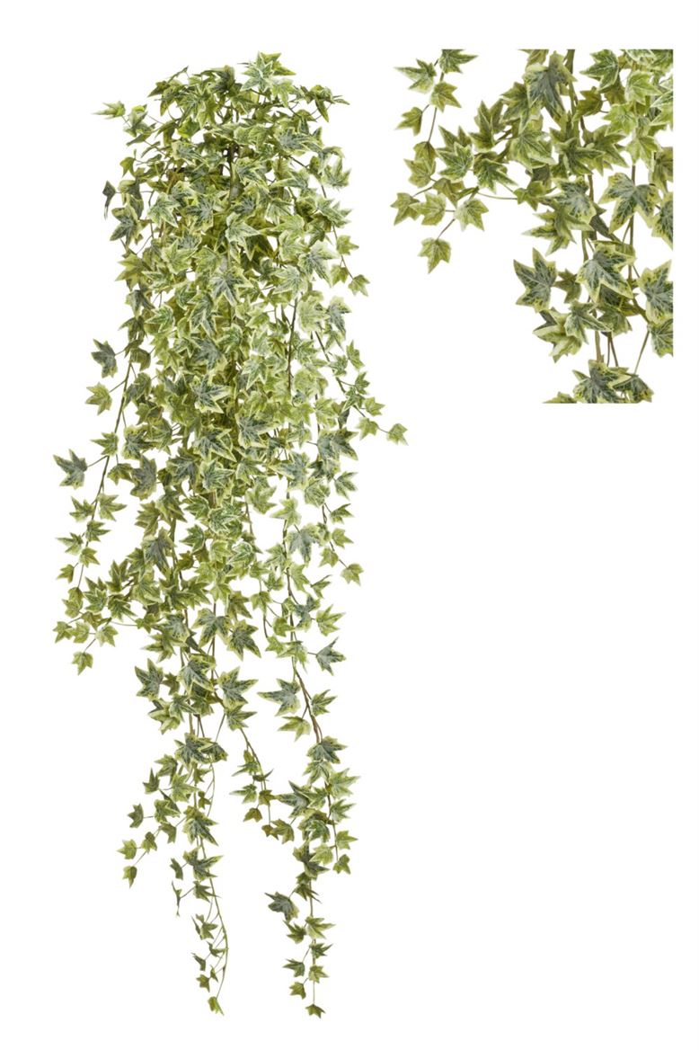 Art. Cadente Edera Cm100 - Frost Variegated