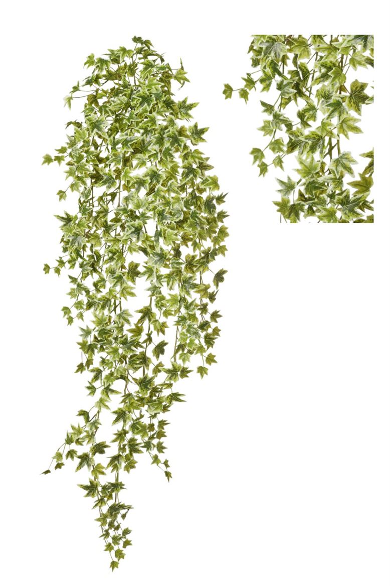 Art. Cadente Edera Cm100 - Variegated