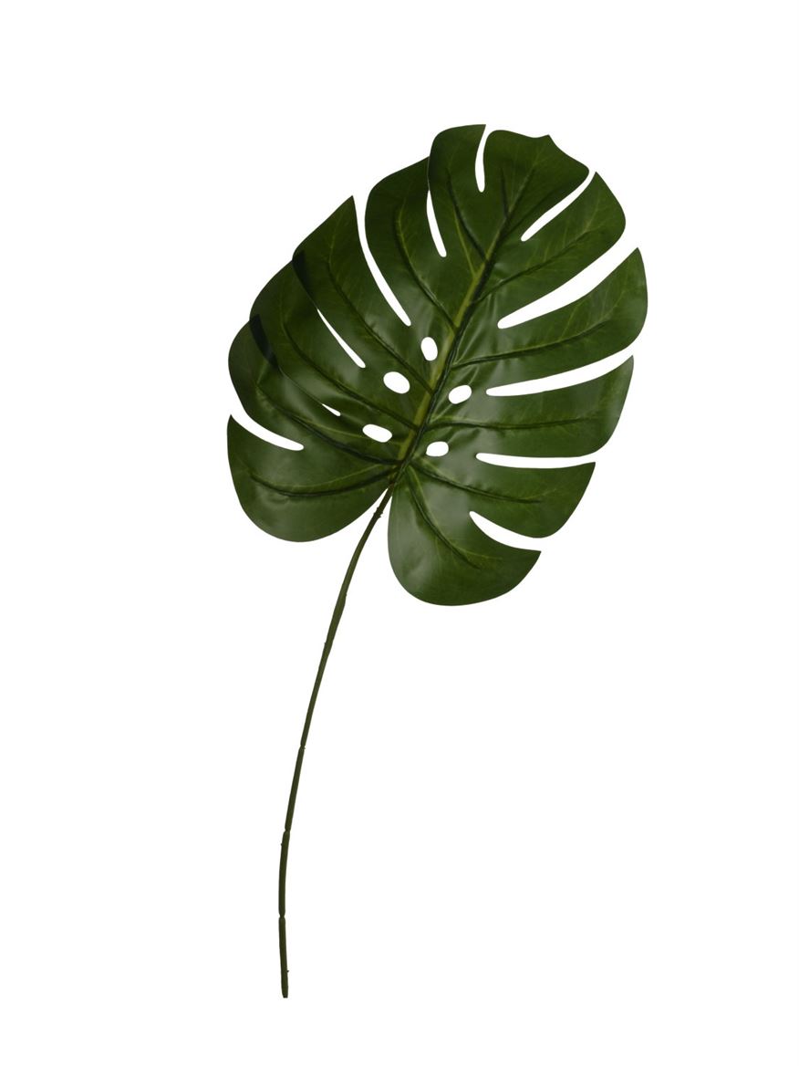 Art. Foglia Monstera 24x61cm - Lt. Green