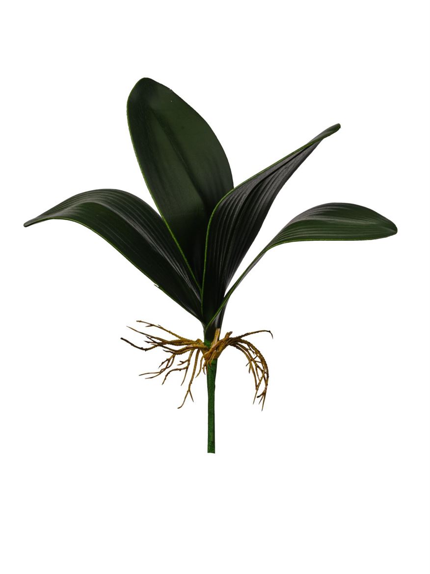 Art. Foglia Phalaenopsis X4 42cm