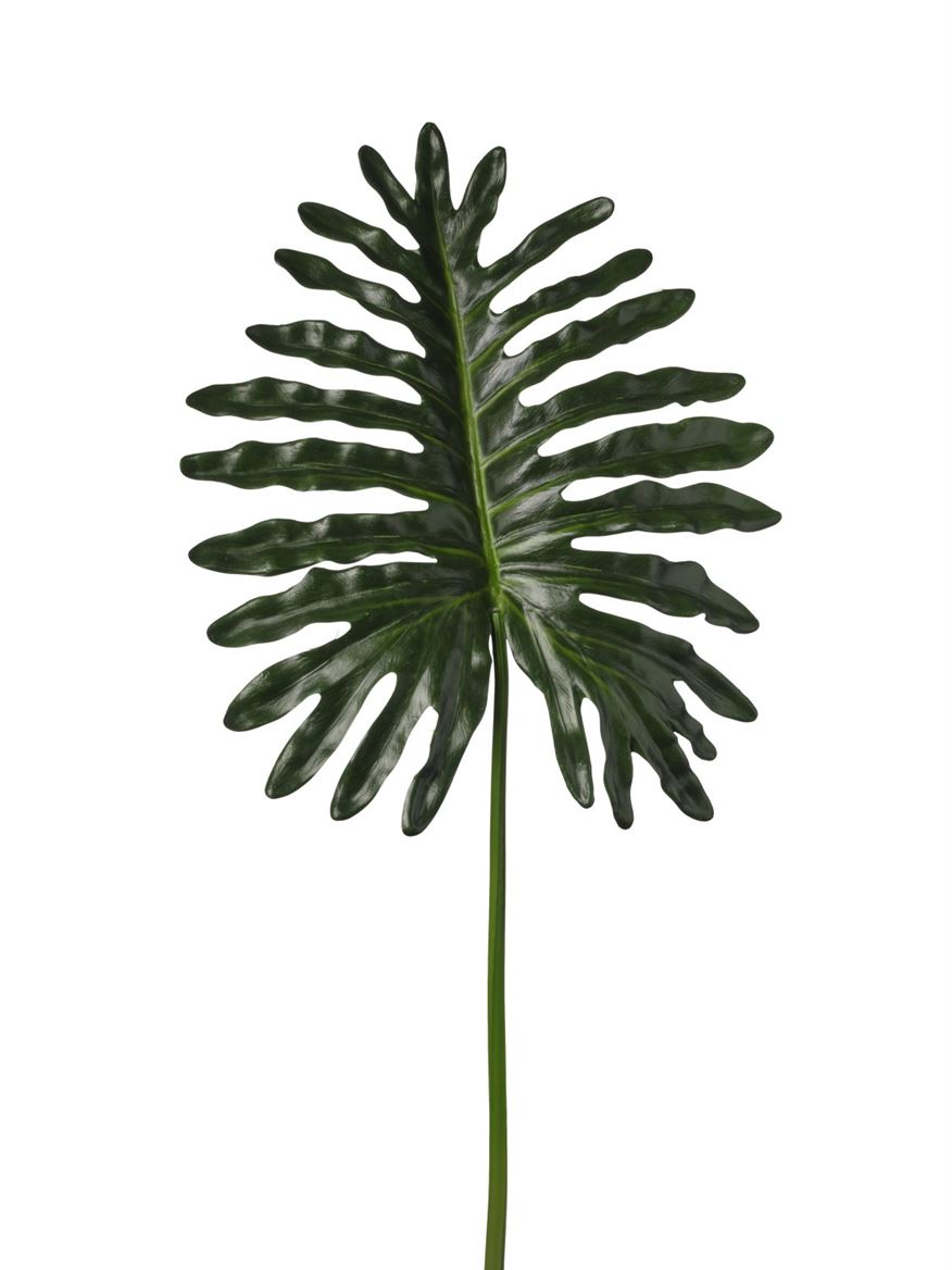 Art. Foglia Philodendron 46x107cm - Green