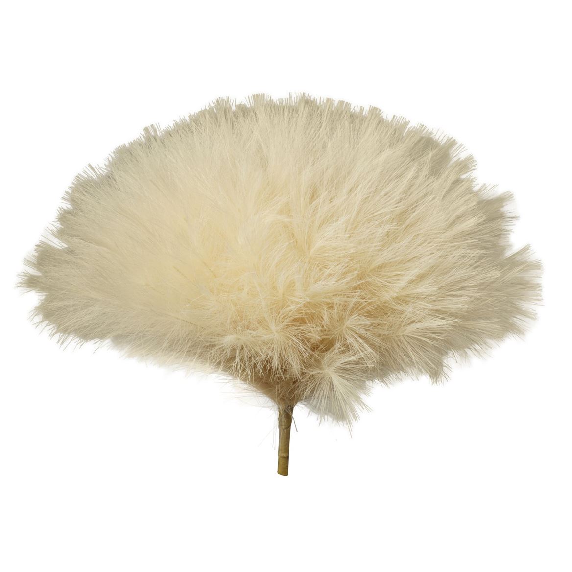 Art. Mazzo Pampas 55x46cm - Maize Yellow