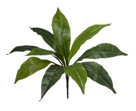 Art. Mazzo V Dracena X11 Cm40 Green