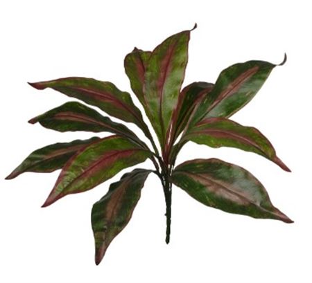 Art. Mazzo V Dracena X11 Cm40 Green W-red Edge