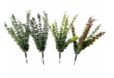 Art. Mazzo V Eucalyptus Bush 50cm - Mix Color