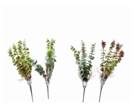 Art. Mazzo V Eucalyptus Bush W/root - Green