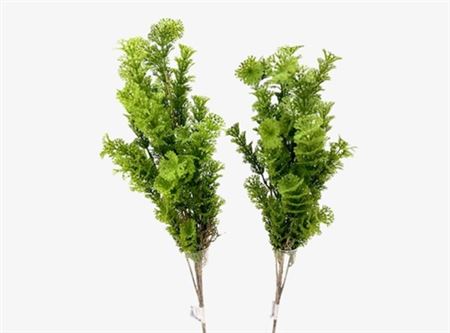 Art. Mazzo V Grass Bush 58cm - Green Mix
