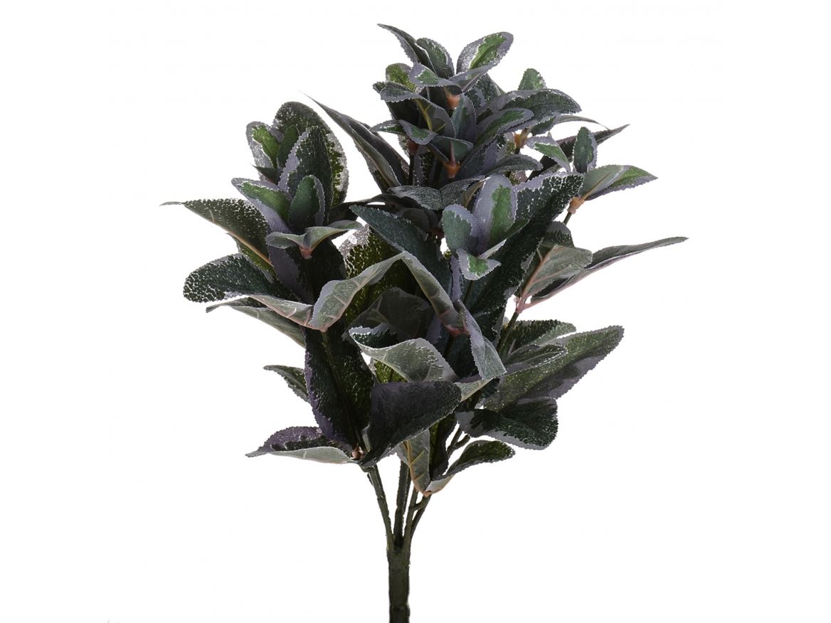 Art. Mazzo V Salvia X6 38cm Green/purple