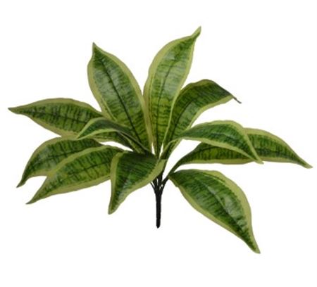 Art. Mazzo V Sansevieria X9 Cm40 Green