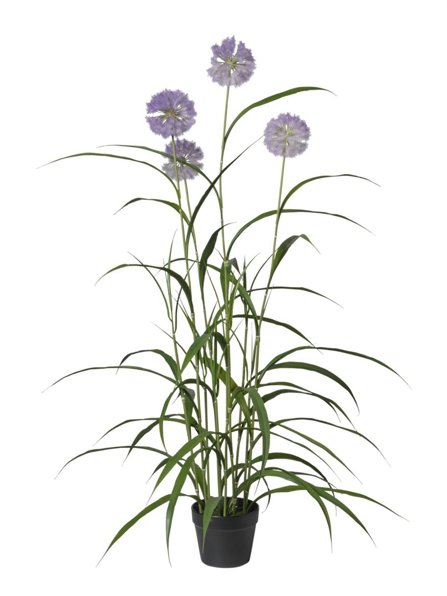 Art. Pianta Agapanthus X4 117cm - Purple