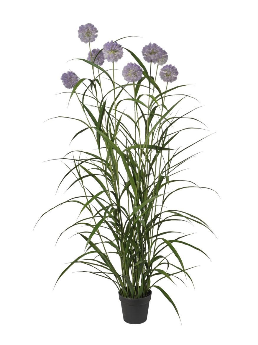 Art. Pianta Agapanthus X9 180cm - Purple