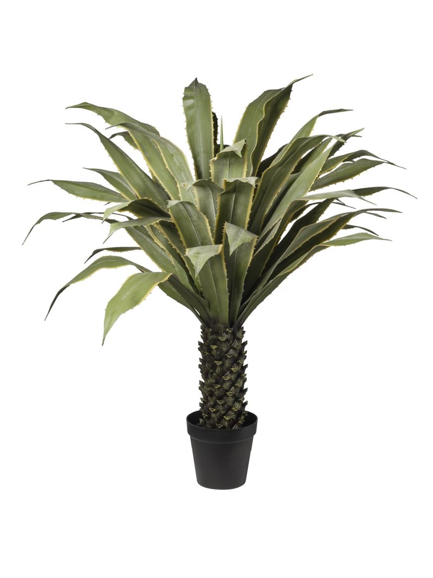 Art. Pianta Agave 130x130x180cm - Green