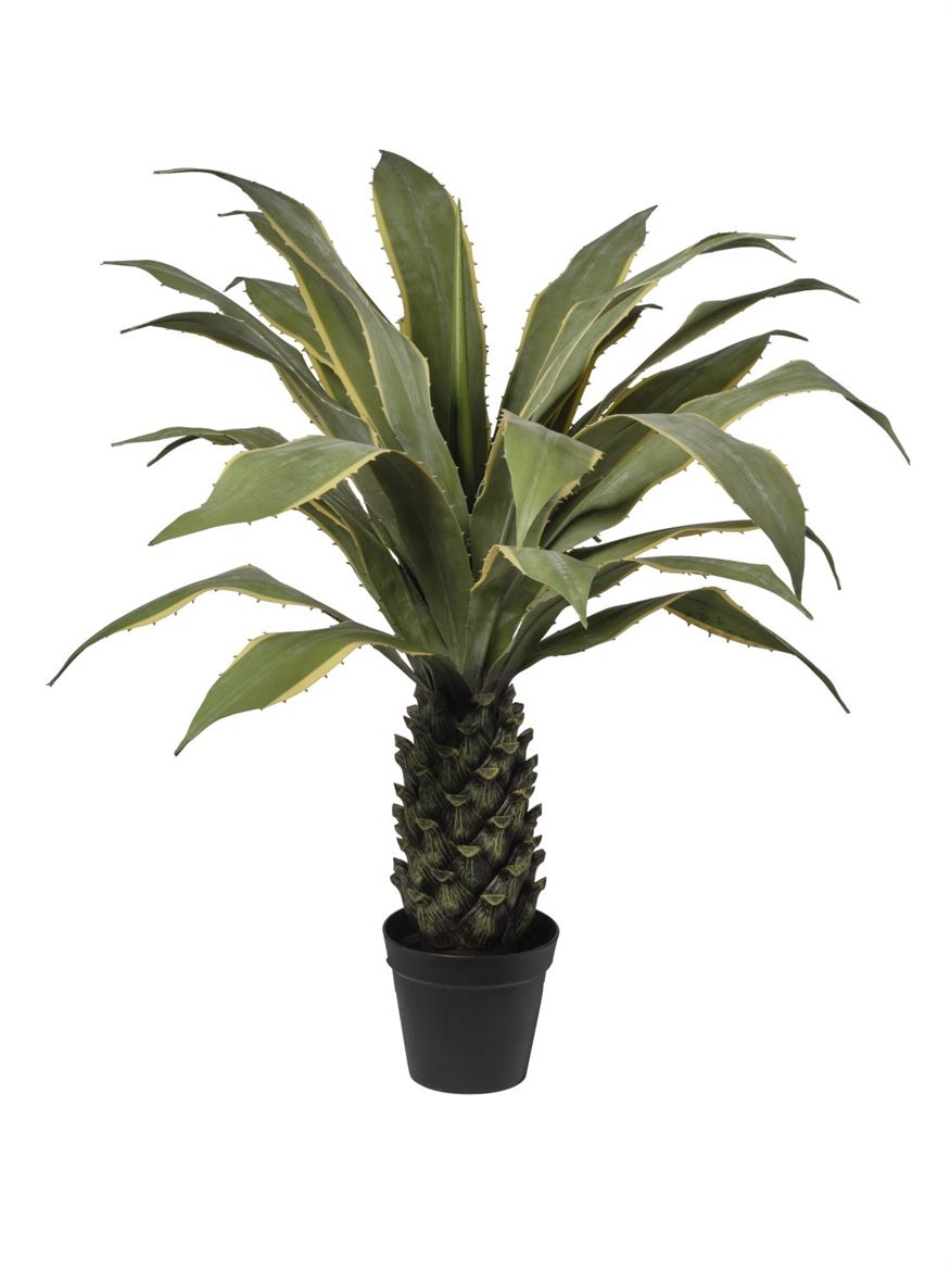 Art. Pianta Agave 92x92x120cm - Green