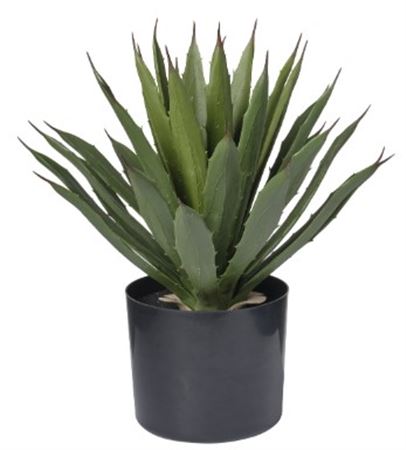 Art. Pianta Agave C-34 Foglie Cm40 Green