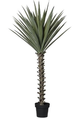 Art. Pianta Agave C-vaso Cm150