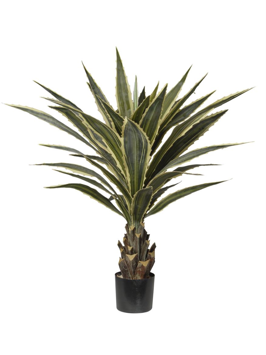 Art. Pianta Agave In Vaso 137cm Green Yell.