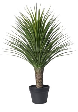 Art. Pianta Aloe C-vaso Cm85