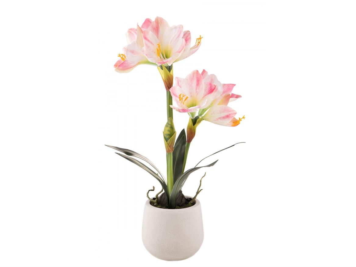 Art. Pianta Amaryllis Con Vaso H.64cm Pink