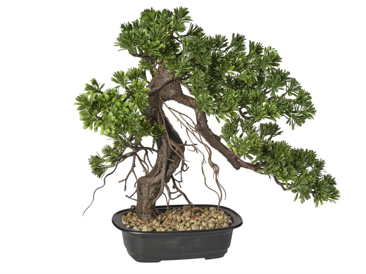 Art. Pianta Bonsai In Vaso 42cm - Green