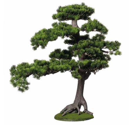 Art. Pianta Bonsai Pino 95x50x80cm Green