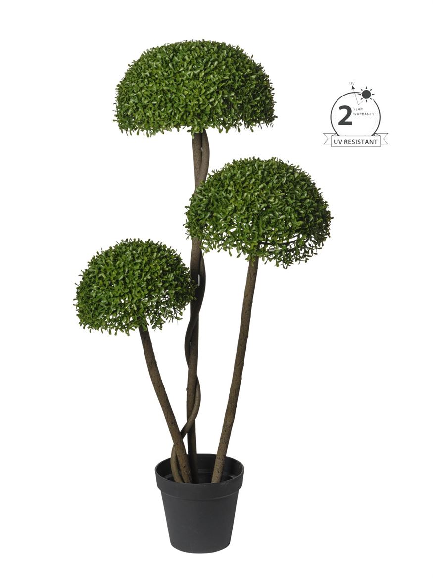 Art. Pianta Bosso X3 H.118cm