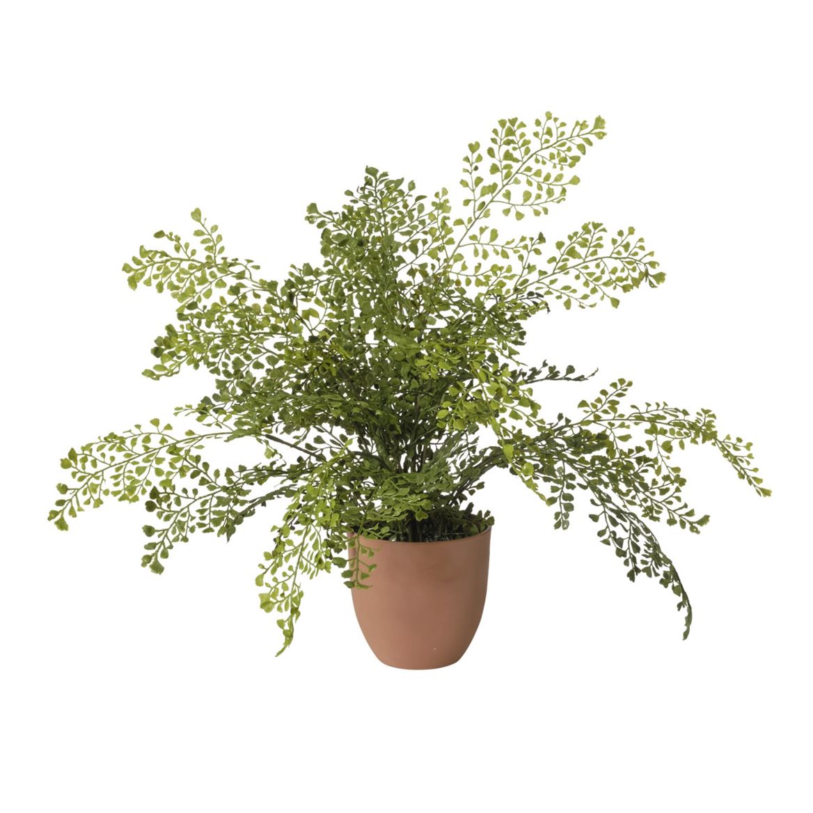 Art. Pianta Capelvenere In Vaso 55x55x58cm - Green