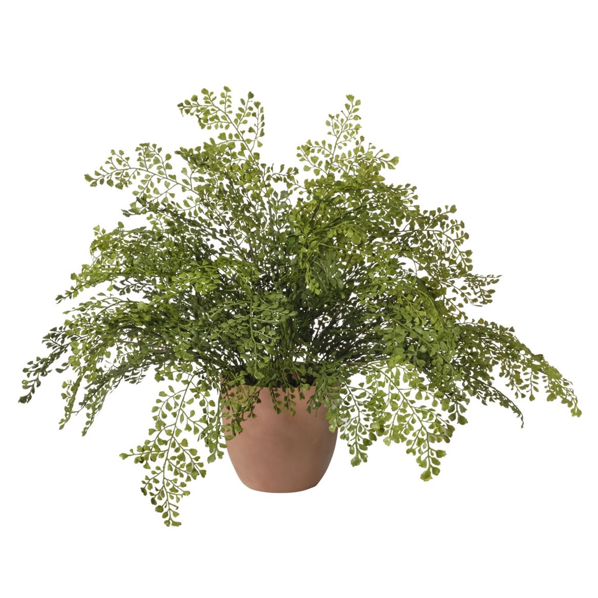 Art. Pianta Capelvenere In Vaso 85x85x58cm - Green