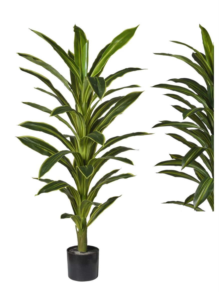 Art. Pianta Dracena Cm120 - Green