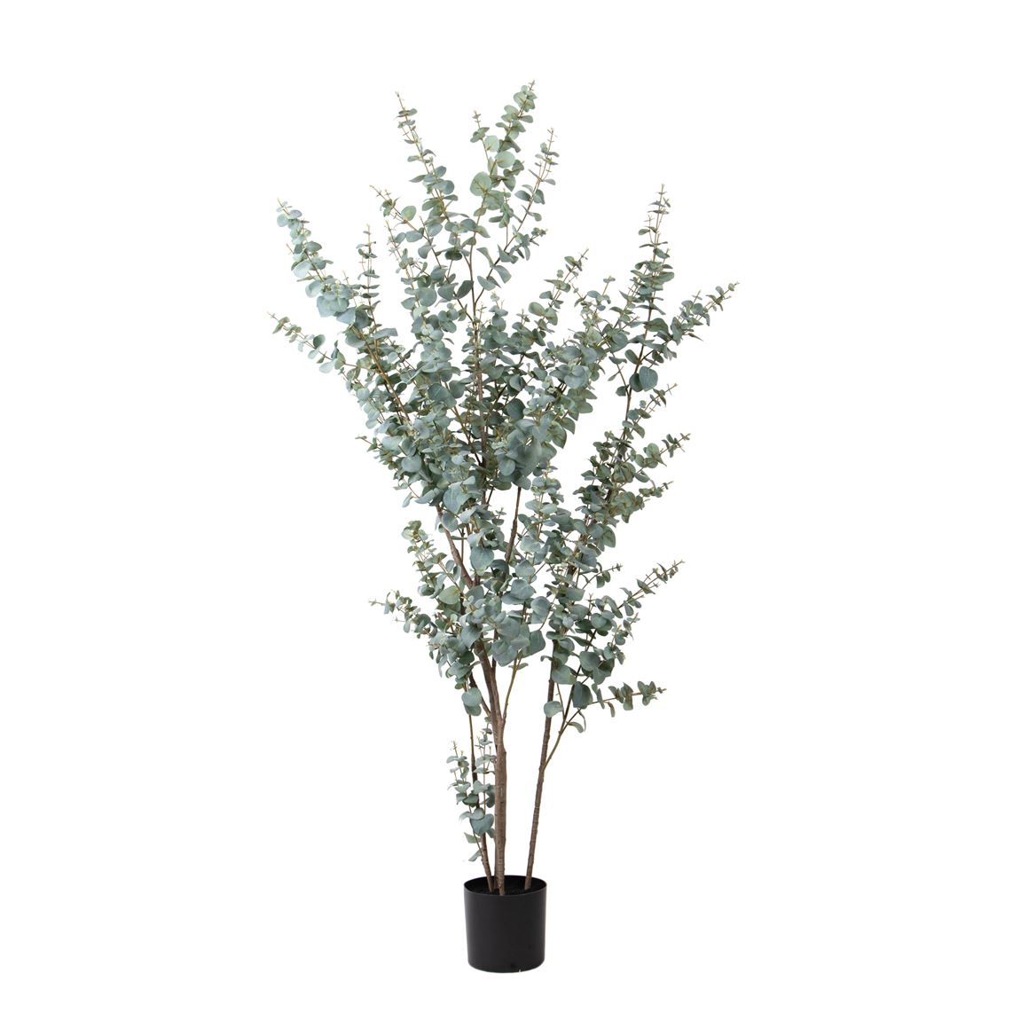 Art. Pianta Eucalyptus 210cm In Vaso - Green