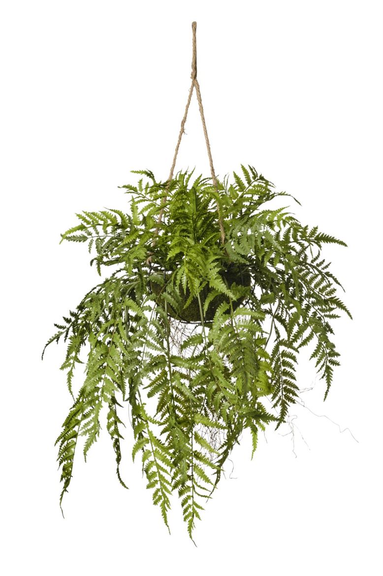 Art. Pianta Felce In Vaso 50x50x101cm - Green