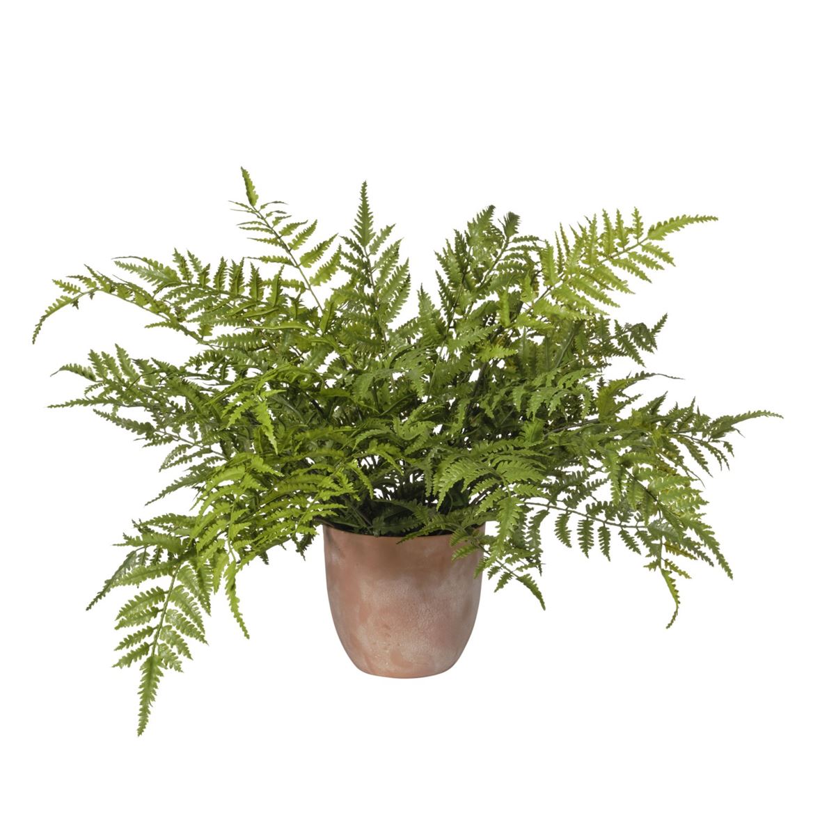 Art. Pianta Felce In Vaso 80x80x58cm - Green