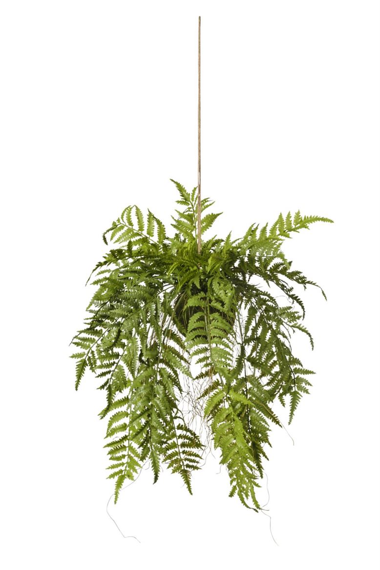 Art. Pianta Felce In Zolla 45x45x99cm - Green