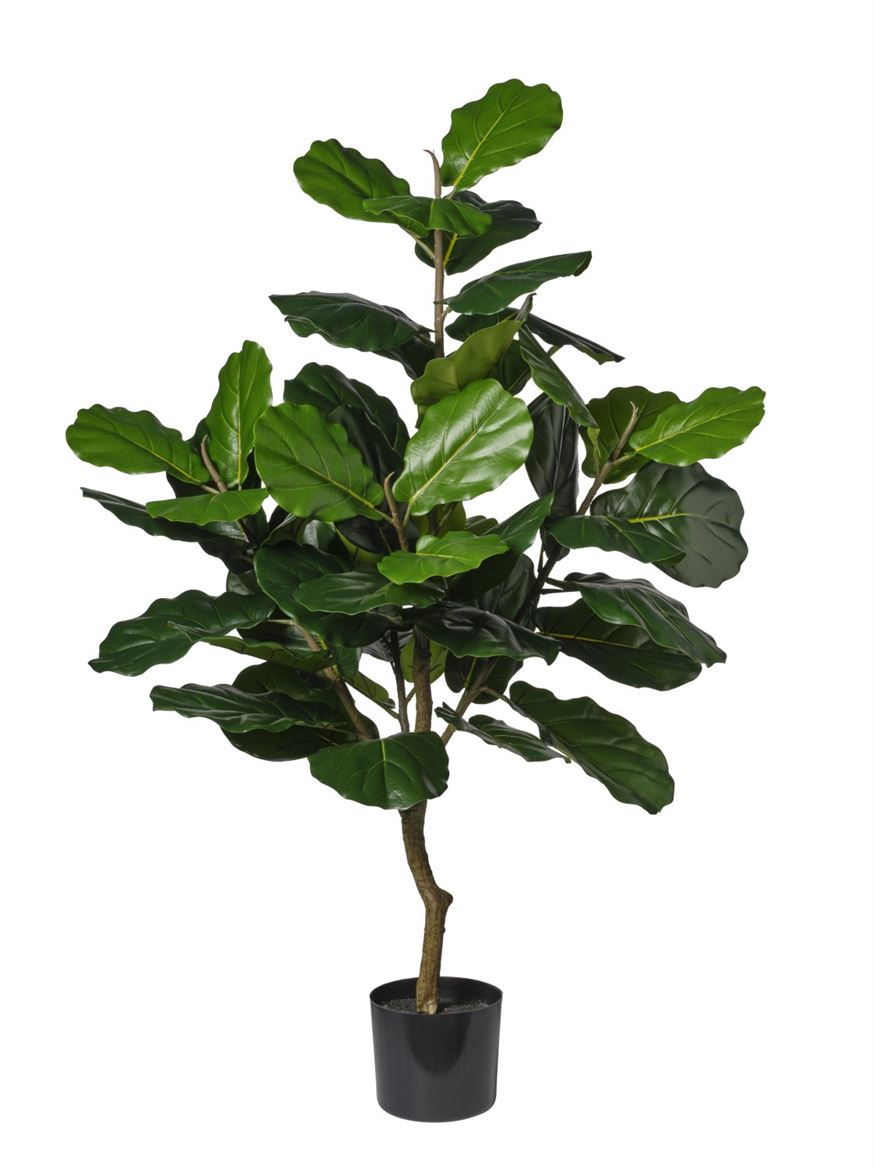 Art. Pianta Ficus Cm130 - Green