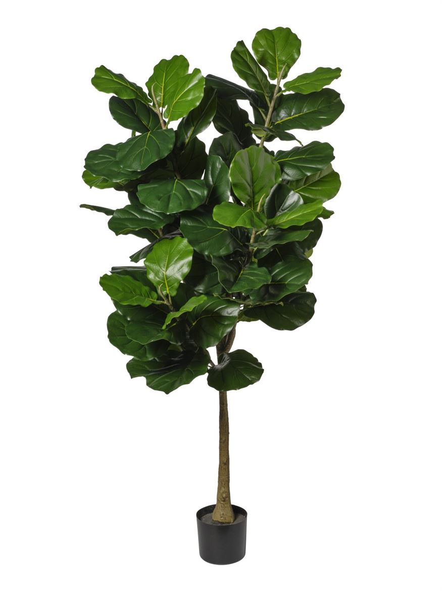 Art. Pianta Ficus Cm160 - Green