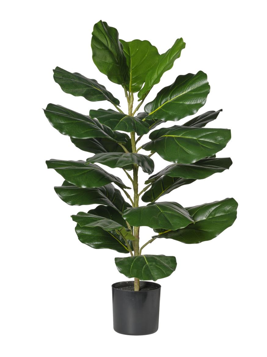Art. Pianta Ficus Cm80 - Green