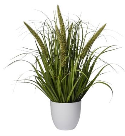 Art. Pianta Fili Erba X5 C-vaso Cm70 Green