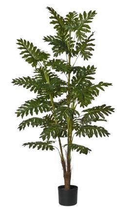 Art. Pianta Filodendro H160cm In Vaso
