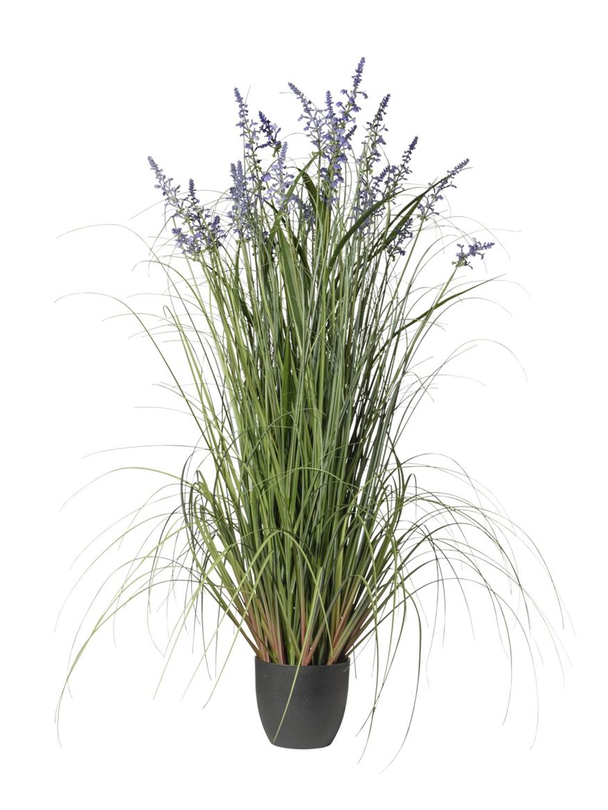 Art. Pianta Lavanda In Vaso Cm140