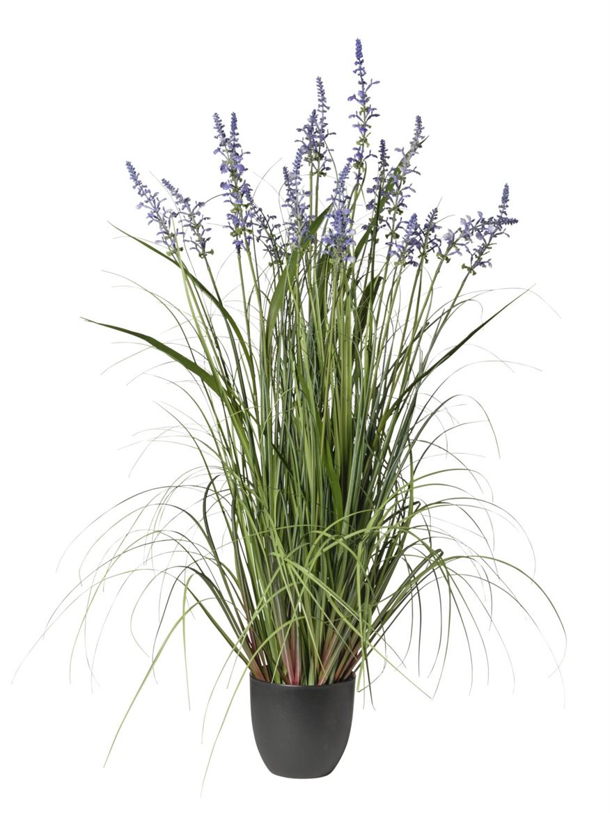 Art. Pianta Lavanda X9 In Vaso 122cm