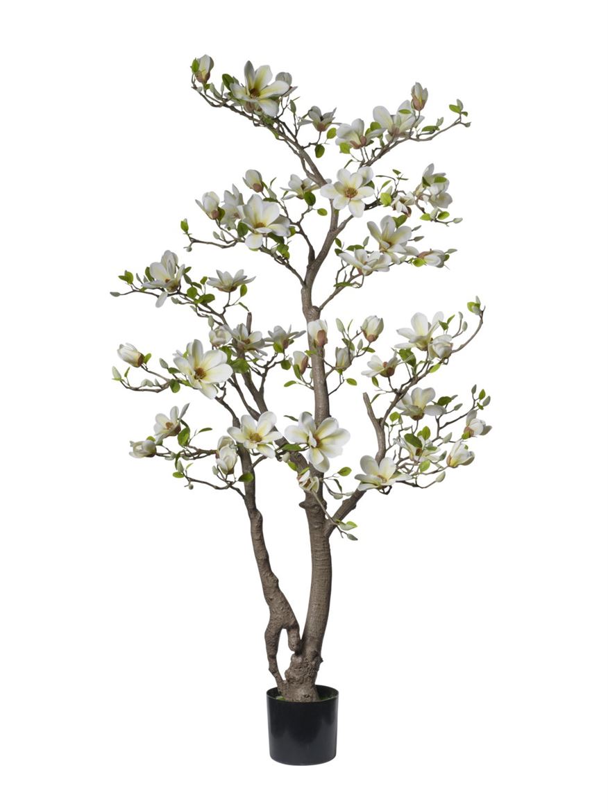 Art. Pianta Magnolia 180cm 50fiori Cream