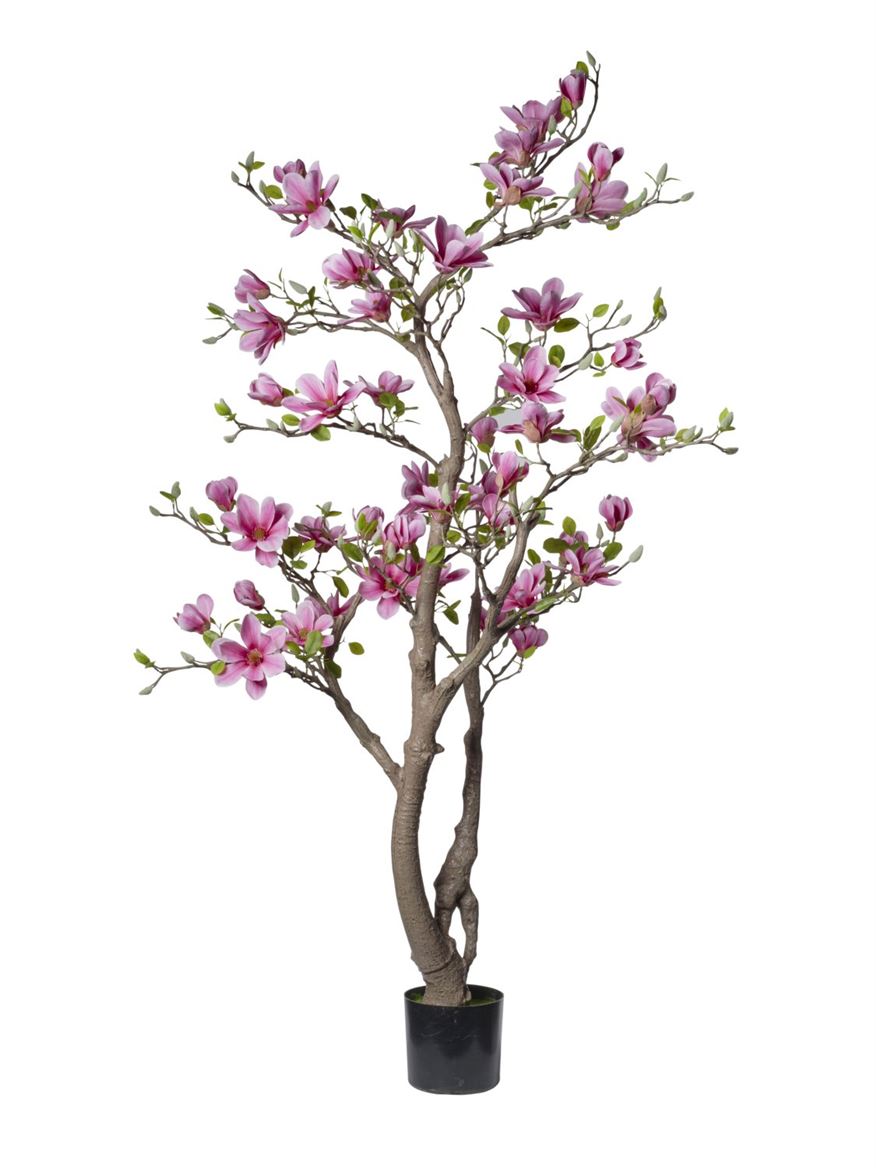 Art. Pianta Magnolia 180cm 50fiori Hot Pink