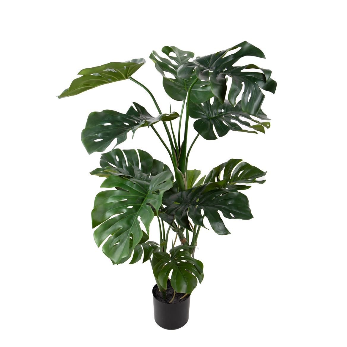 Art. Pianta Monstera H.120cm Con Vaso