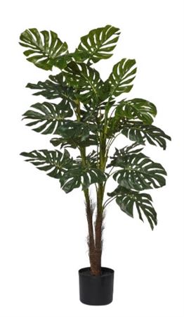 Art. Pianta Monstera X3 H120cm In Vaso