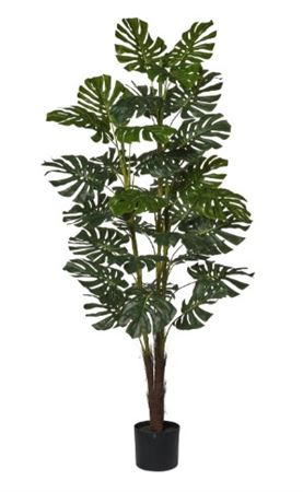 Art. Pianta Monstera X3 H160cm In Vaso
