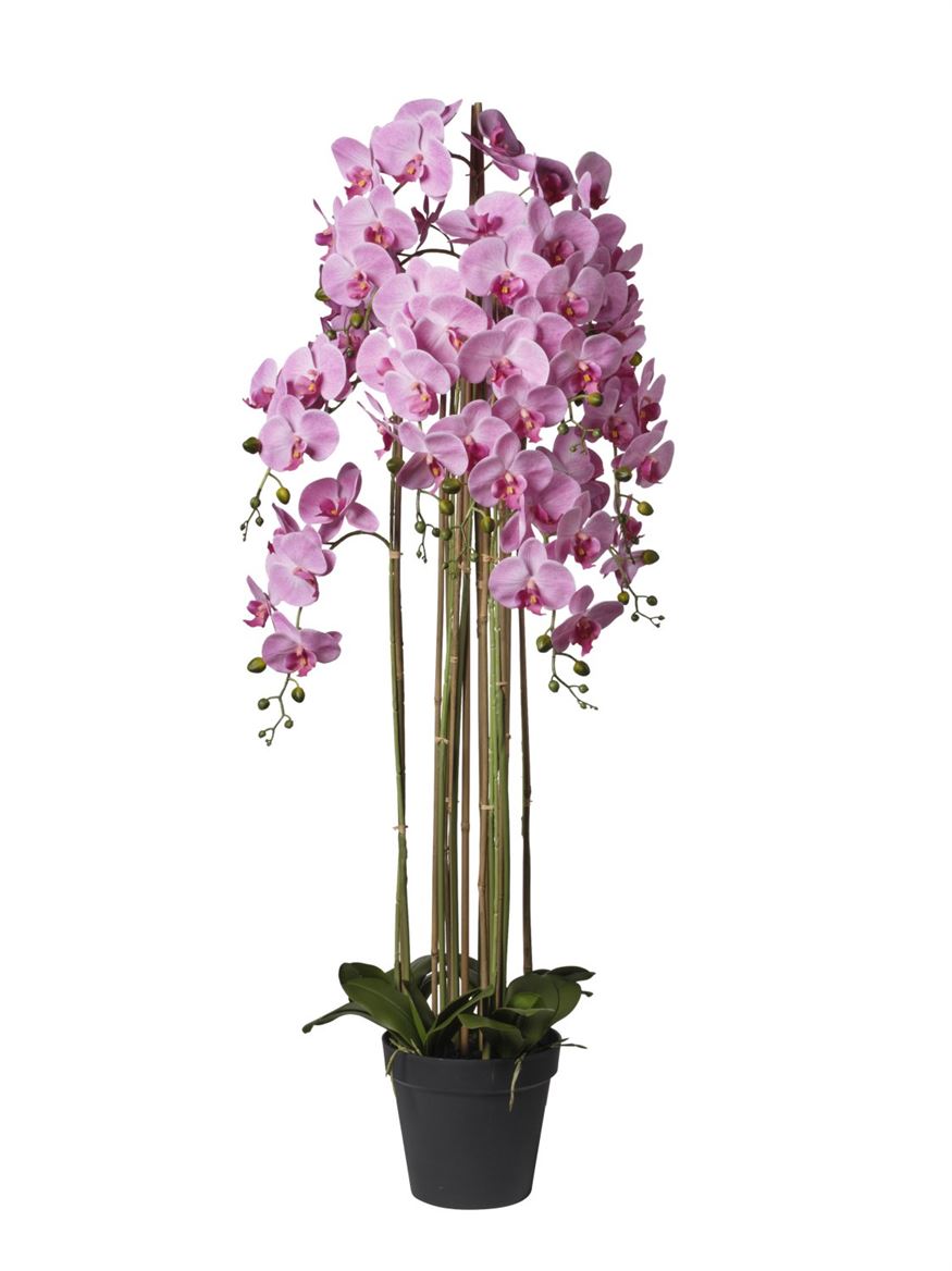 Art. Pianta Orchidea X9 66x66x145cm - Beauty