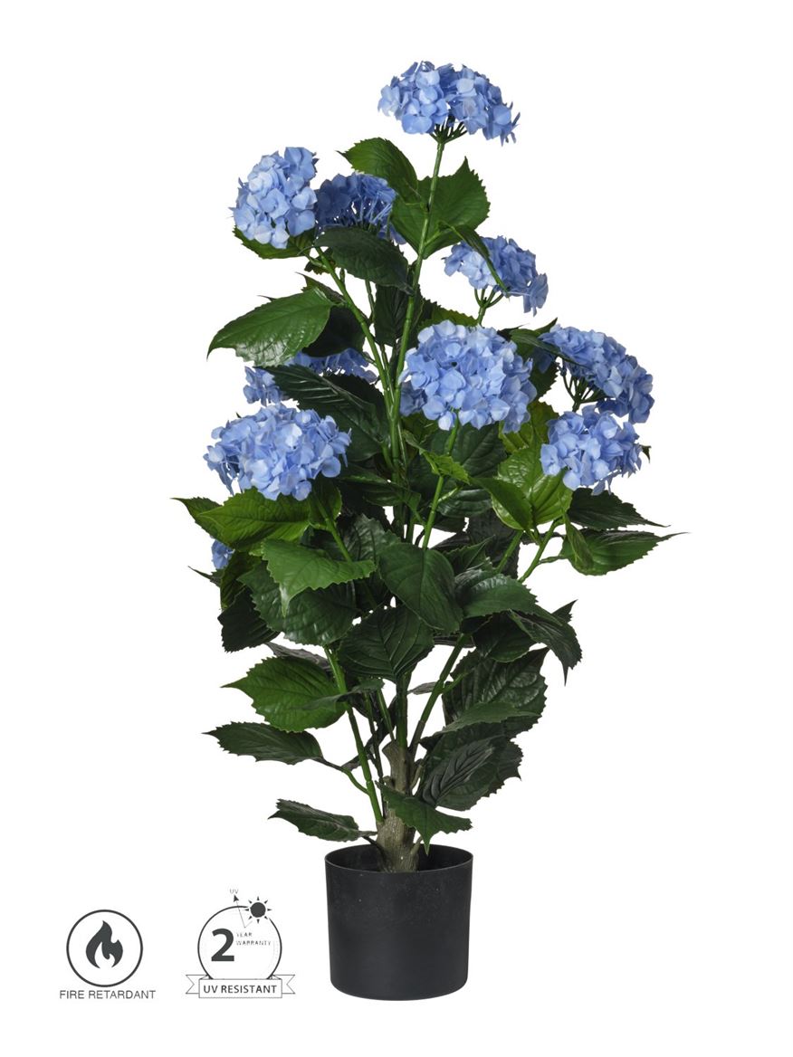 Art. Pianta Ortensie In Vaso 90cm Lt. Blue