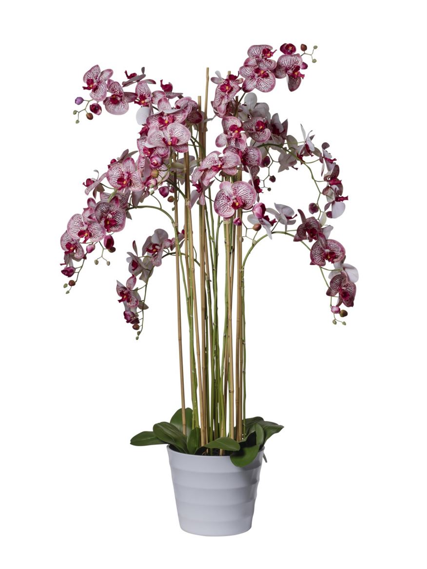 Art. Pianta Phaleonopsis X12 142cm - Burgundy