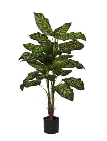 Art. Pianta Rododedro X3 H120cm In Vaso