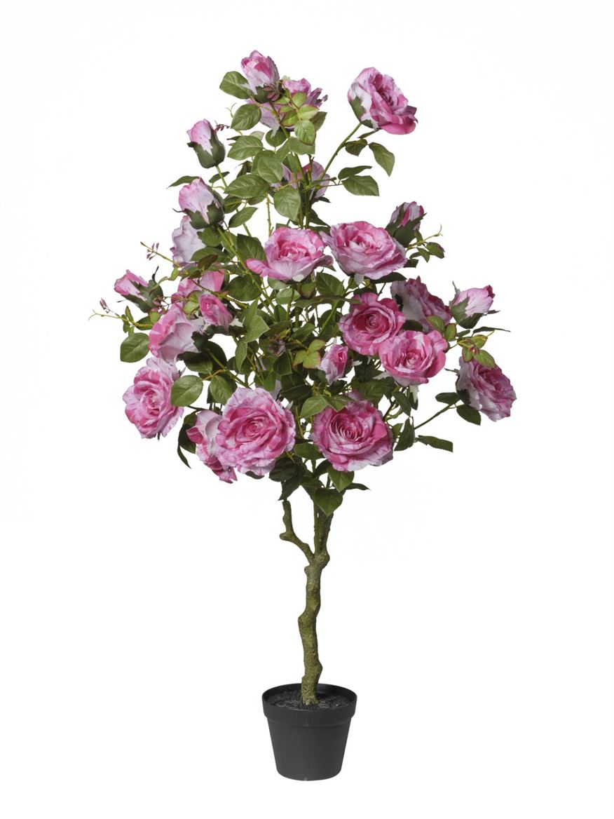 Art. Pianta Rose X27 In Vaso 126cm - Pink