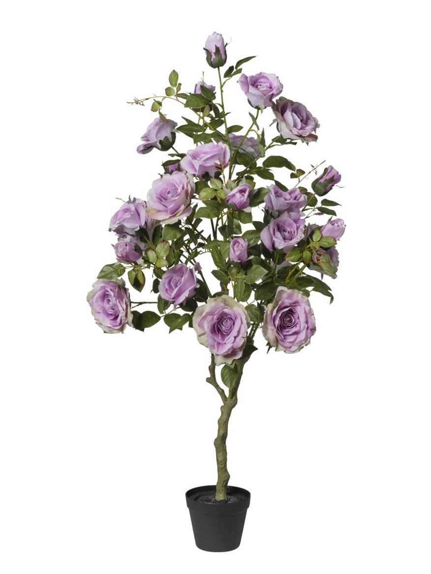 Art. Pianta Rose X27 In Vaso 126cm - Purple